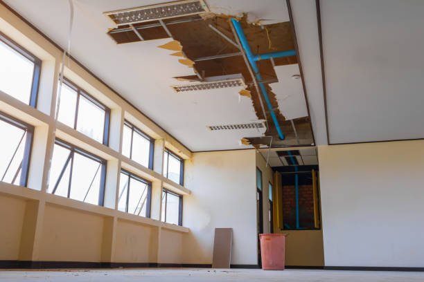 Best Mold removal after water damage  in Yates Center, KS