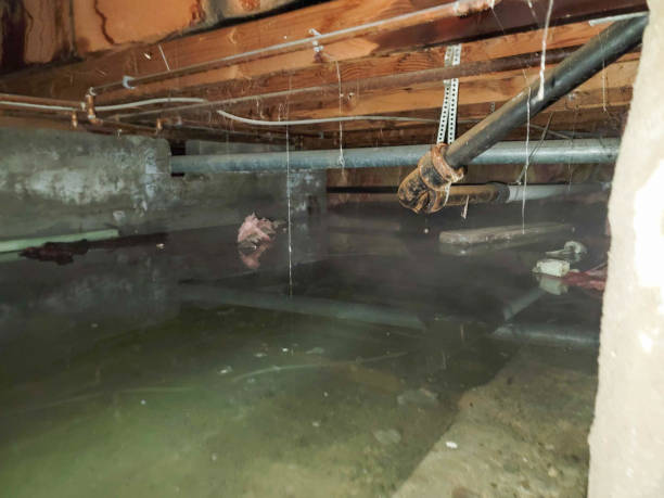 Best Carpet water damage restoration  in Yates Center, KS