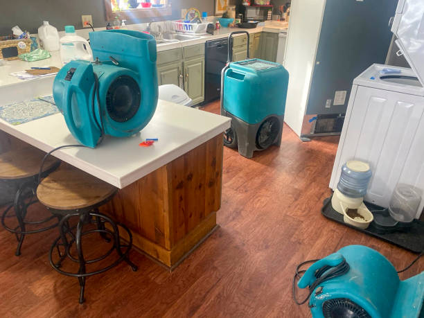 Best Water damage contractors near me  in Yates Center, KS