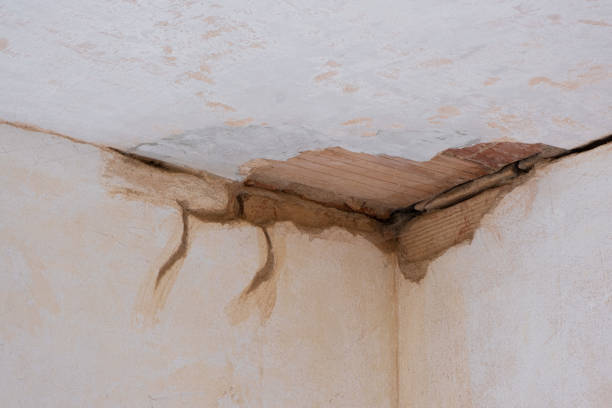 Best Sewage cleanup and water damage restoration  in Yates Center, KS