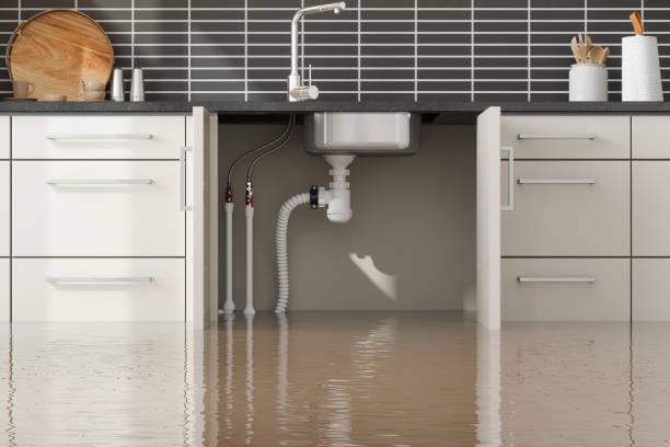 Best Basement water damage restoration  in Yates Center, KS