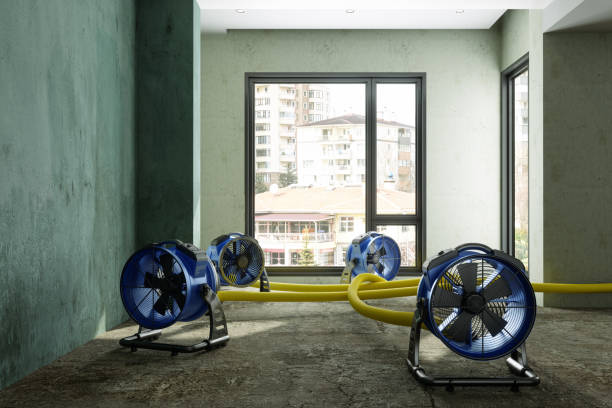 Best Flood restoration services  in Yates Center, KS